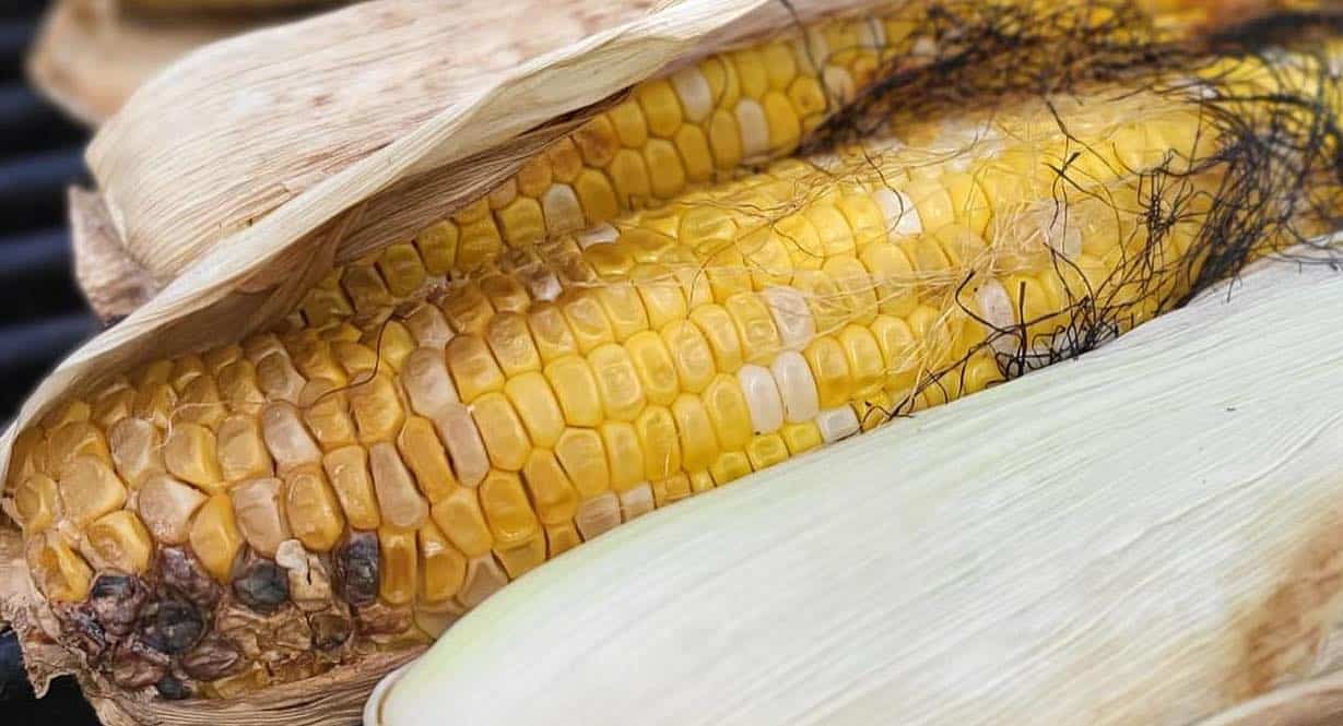 Corn Husk